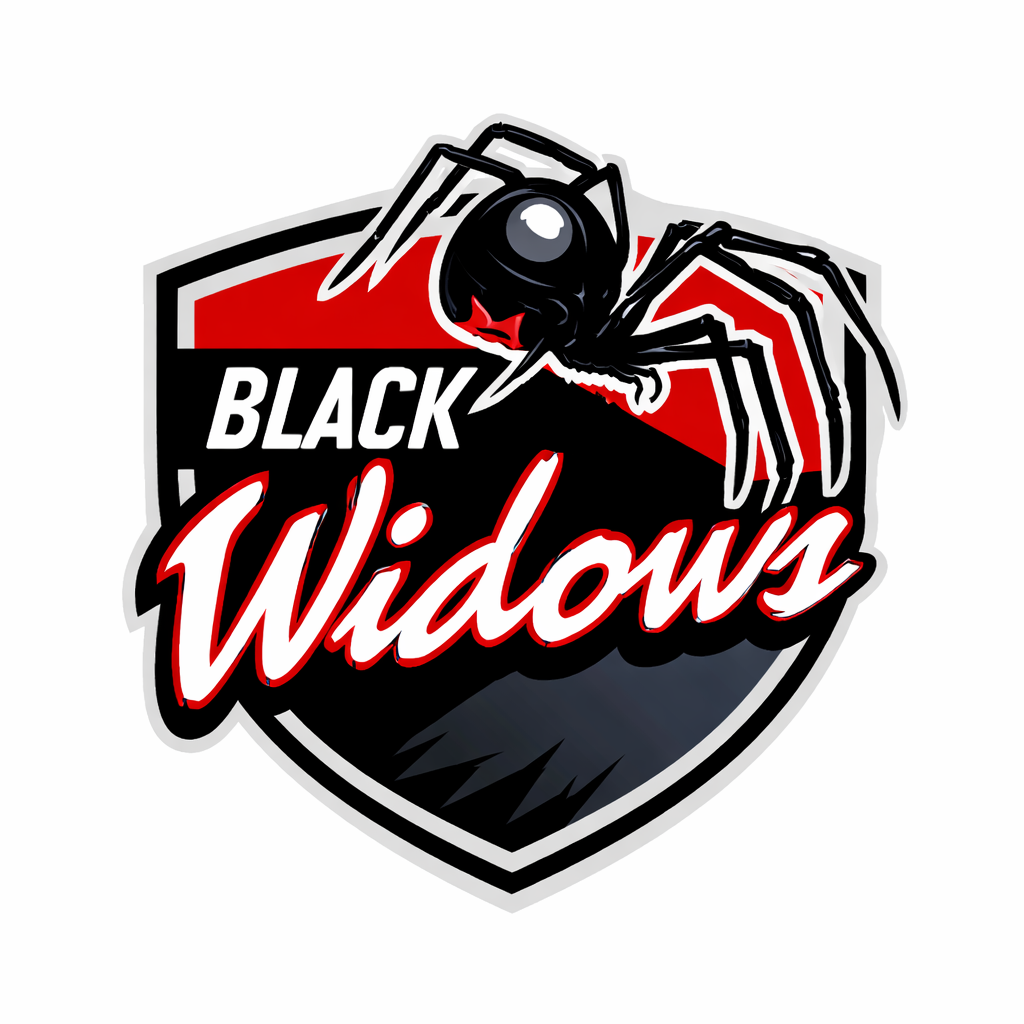 black widow darts by pools cues auburn ma 1