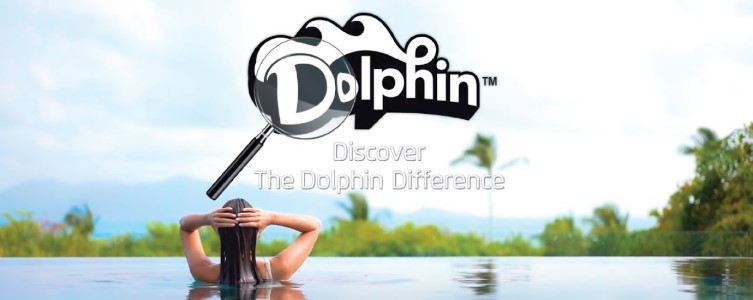 maytronics dolphin pools and cues